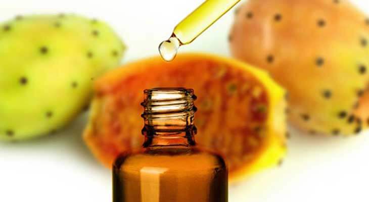 Your Ultimate Guide: Where to Buy Prickly Pear Seed Oil for Wholesale